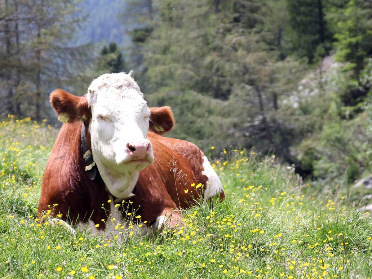 Huberhof Βίλα Ahrntal Εξωτερικό φωτογραφία
